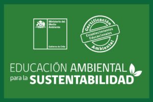 Escuela Básica Talca logra Certificación Ambiental